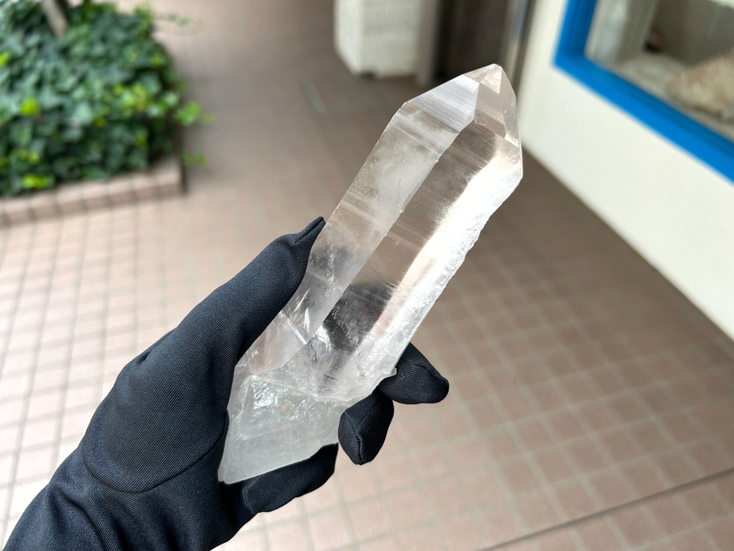 【純粋な波動で魂を解放】ピュアレイ