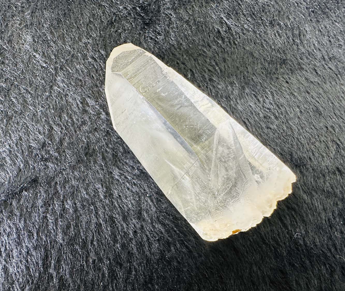 原初の愛】オールド・レムリアンシード | 9/3（日）26時まで☆オールド