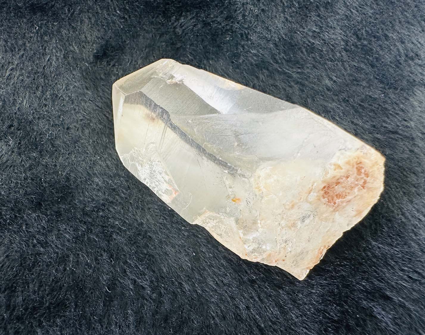 原初の愛】オールド・レムリアンシード | すべての商品 | レインボー