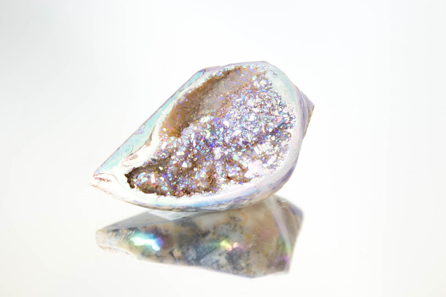 【天使の貝がら】オパールオーラシェル