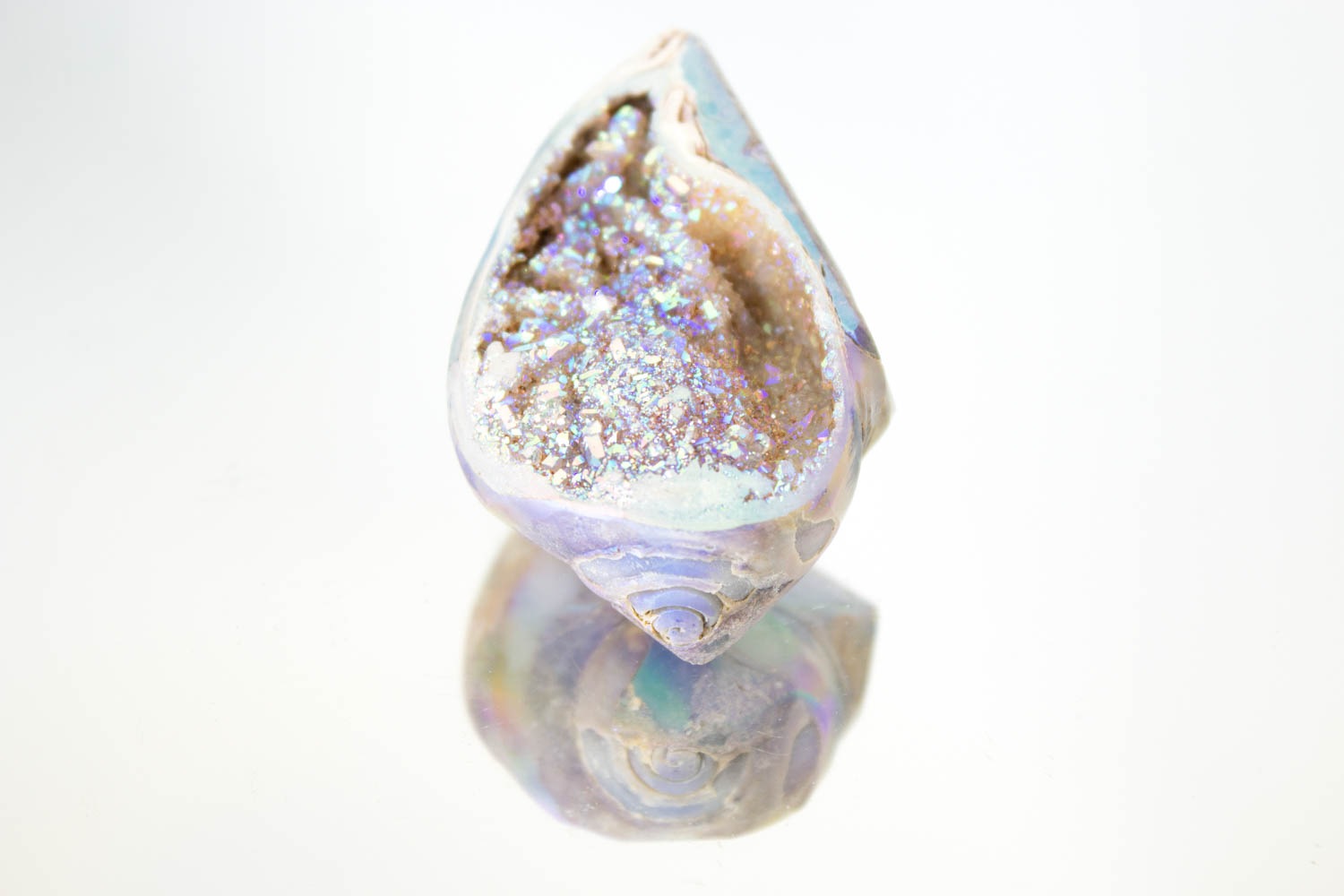 【天使の貝がら】オパールオーラシェル