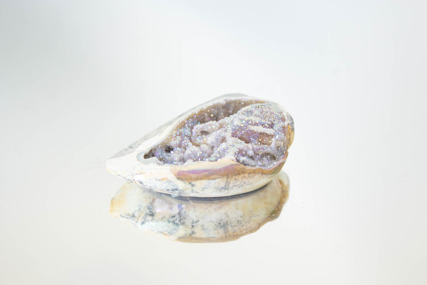 【天使の貝がら】オパールオーラシェル