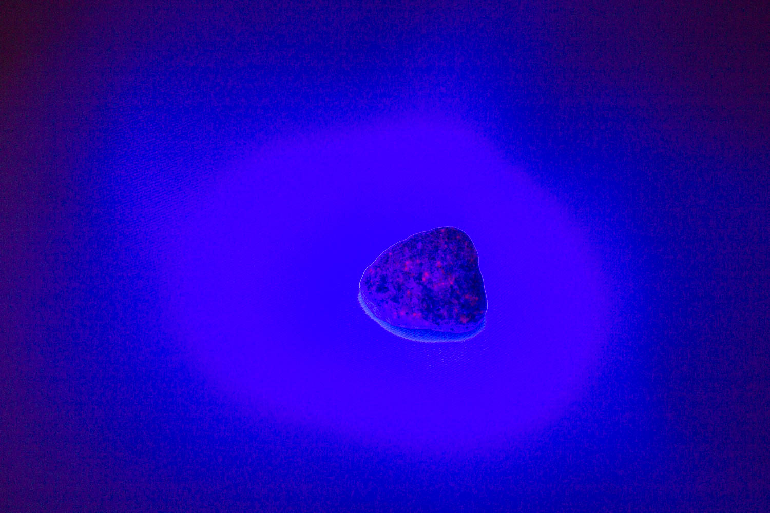 【新世界の扉をひらく】ユーパーライト ※ブラックライト付き!