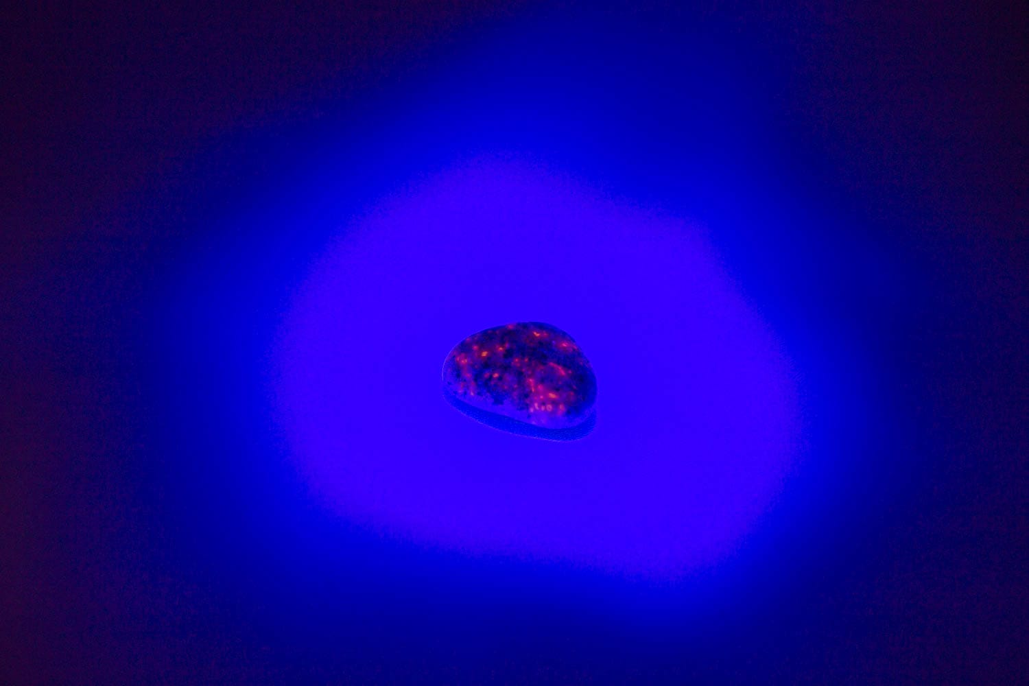 【新世界の扉をひらく】ユーパーライト ※ブラックライト付き！