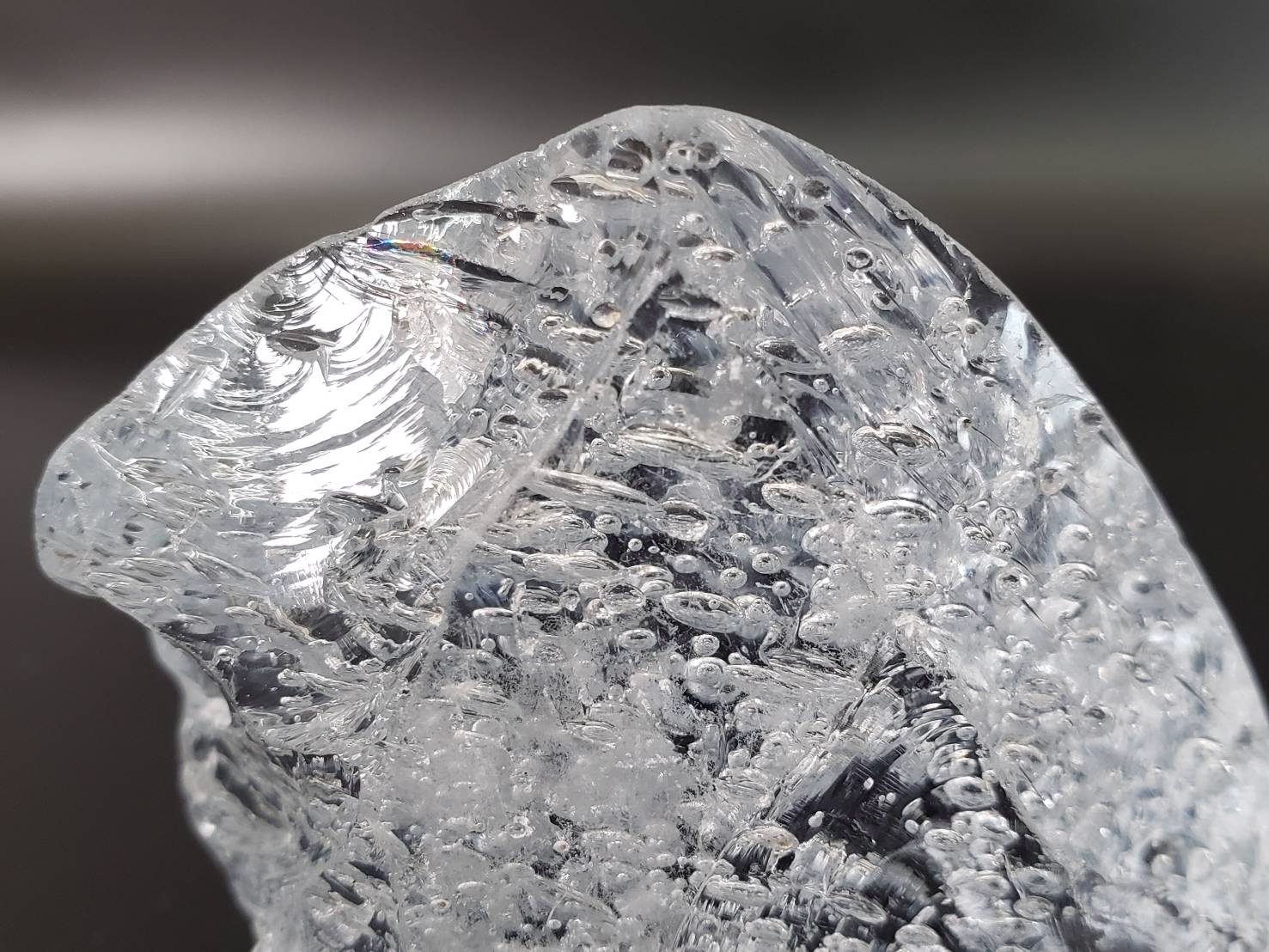 ライラック　シーフォーム