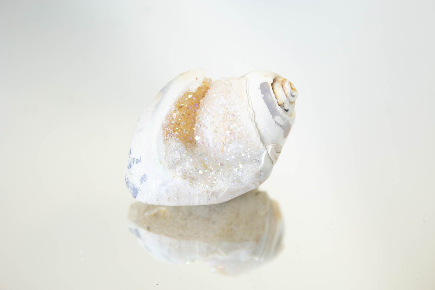 【天使の貝がら】オパールオーラシェル