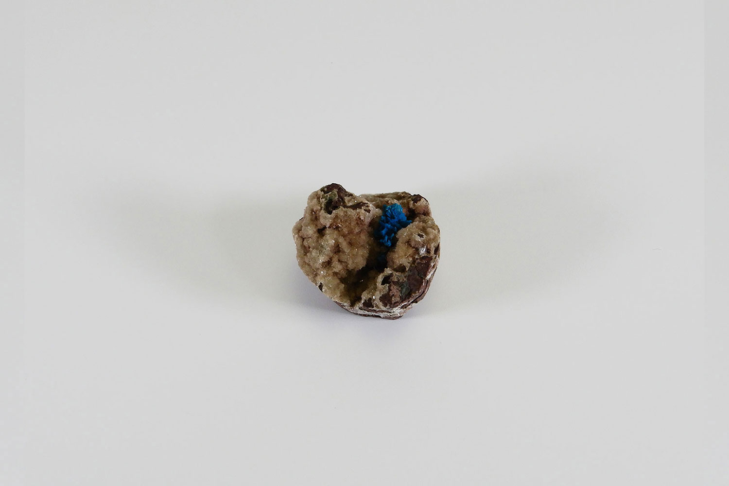 【楽観的に生きる】カバンサイト