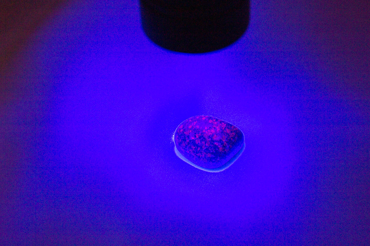 【新世界の扉をひらく】ユーパーライト ※ブラックライト付き！