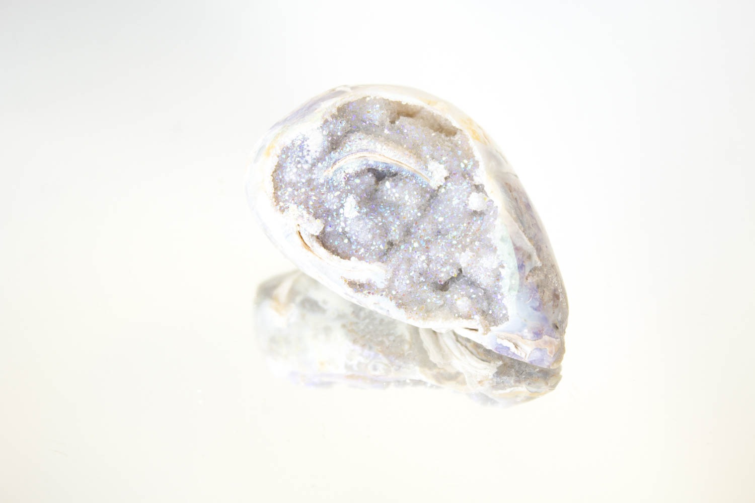 【天使の貝がら】オパールオーラシェル