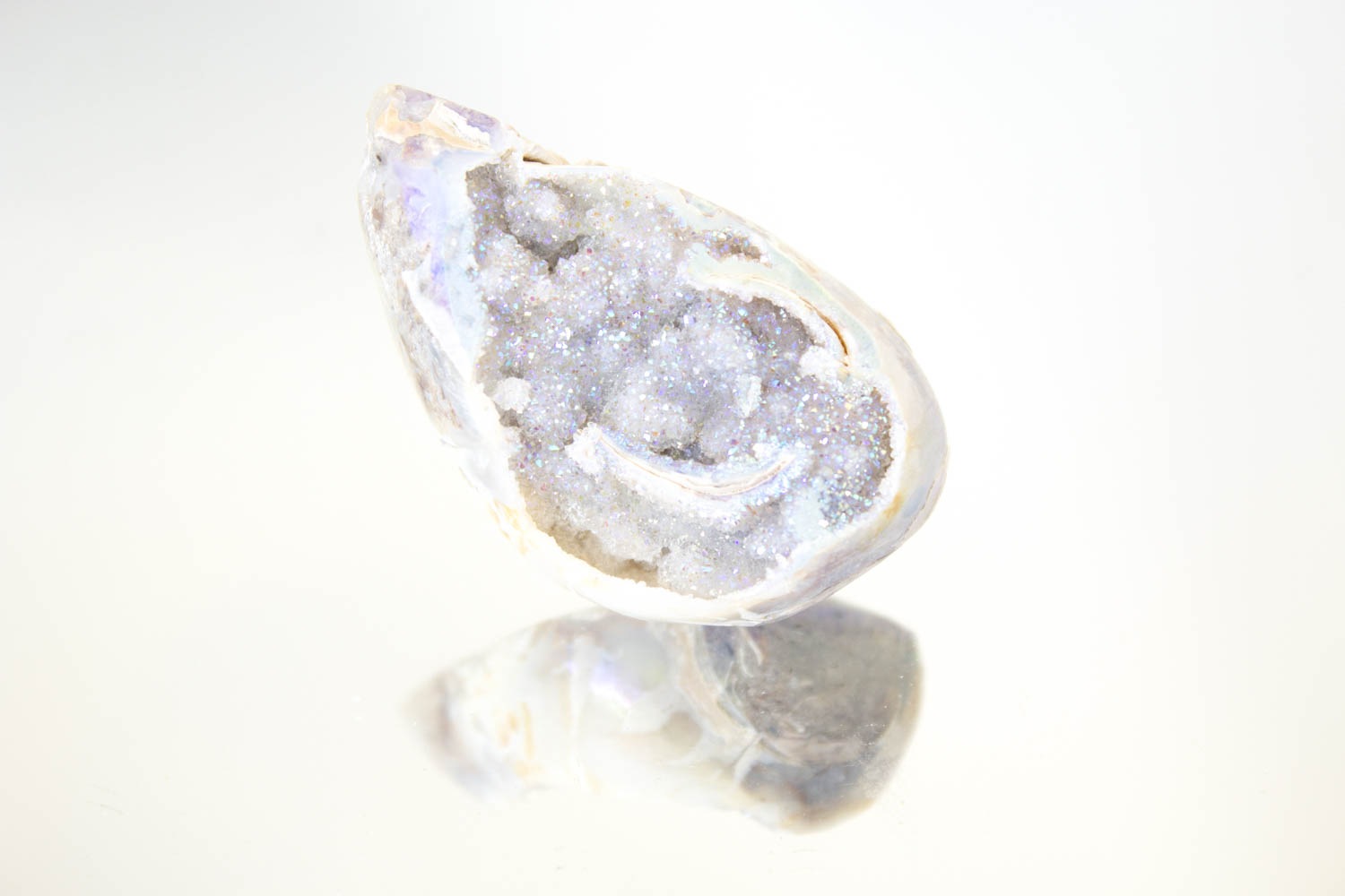 【天使の貝がら】オパールオーラシェル