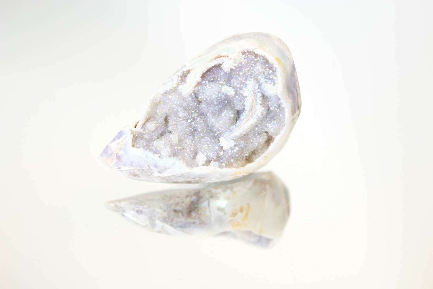 【天使の貝がら】オパールオーラシェル