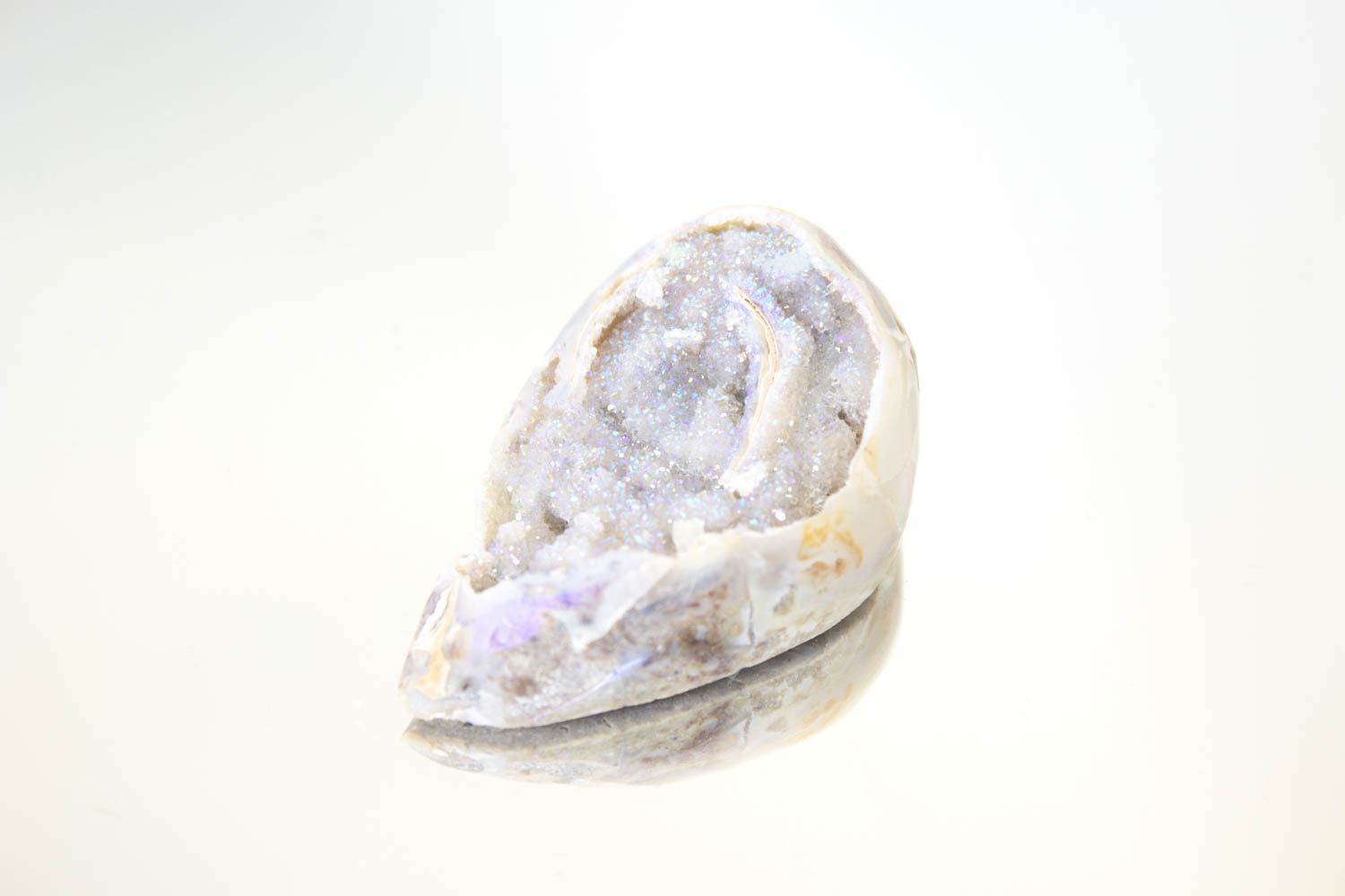 【天使の貝がら】オパールオーラシェル