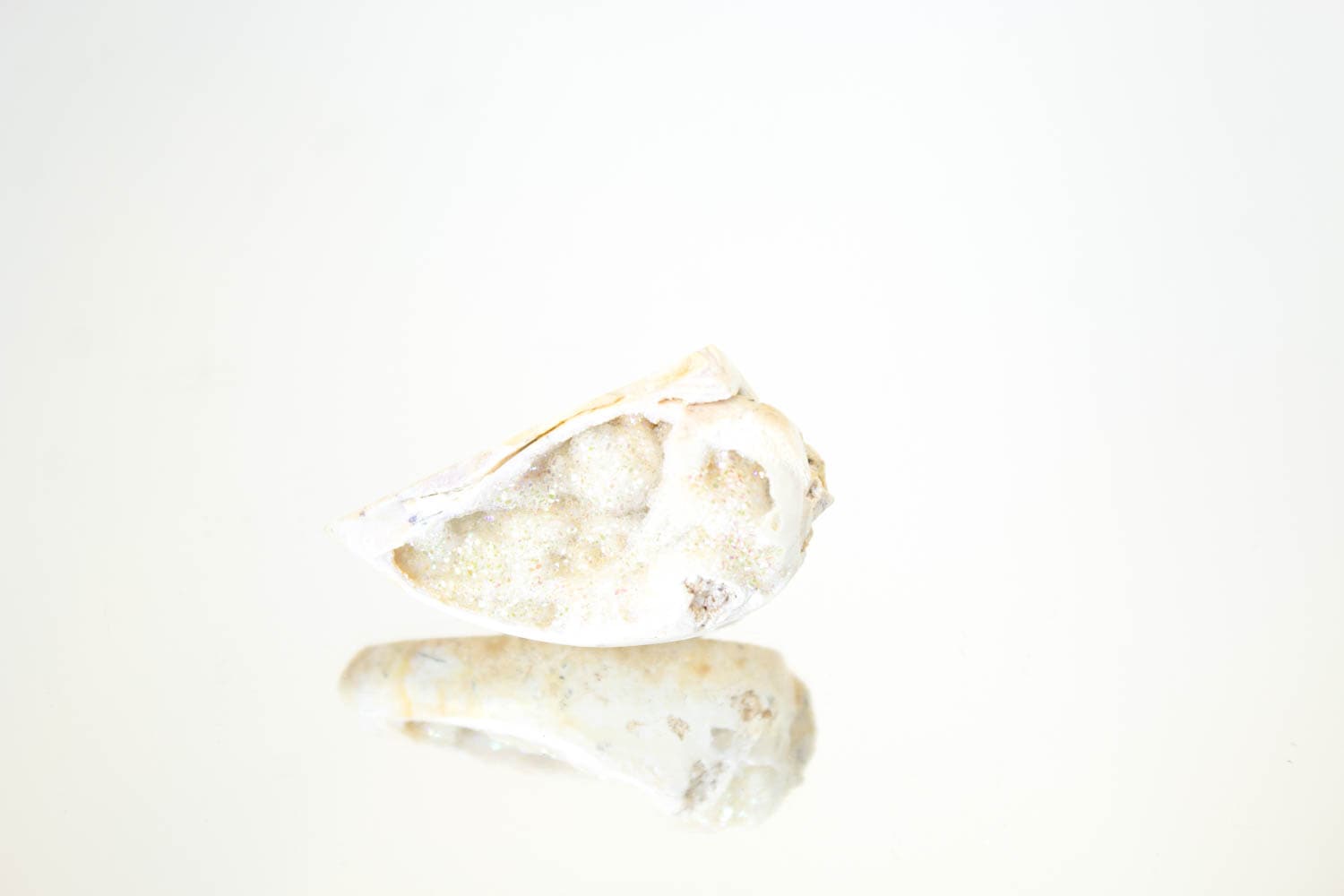 【天使の貝がら】オパールオーラシェル