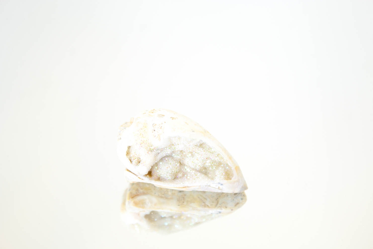 【天使の貝がら】オパールオーラシェル