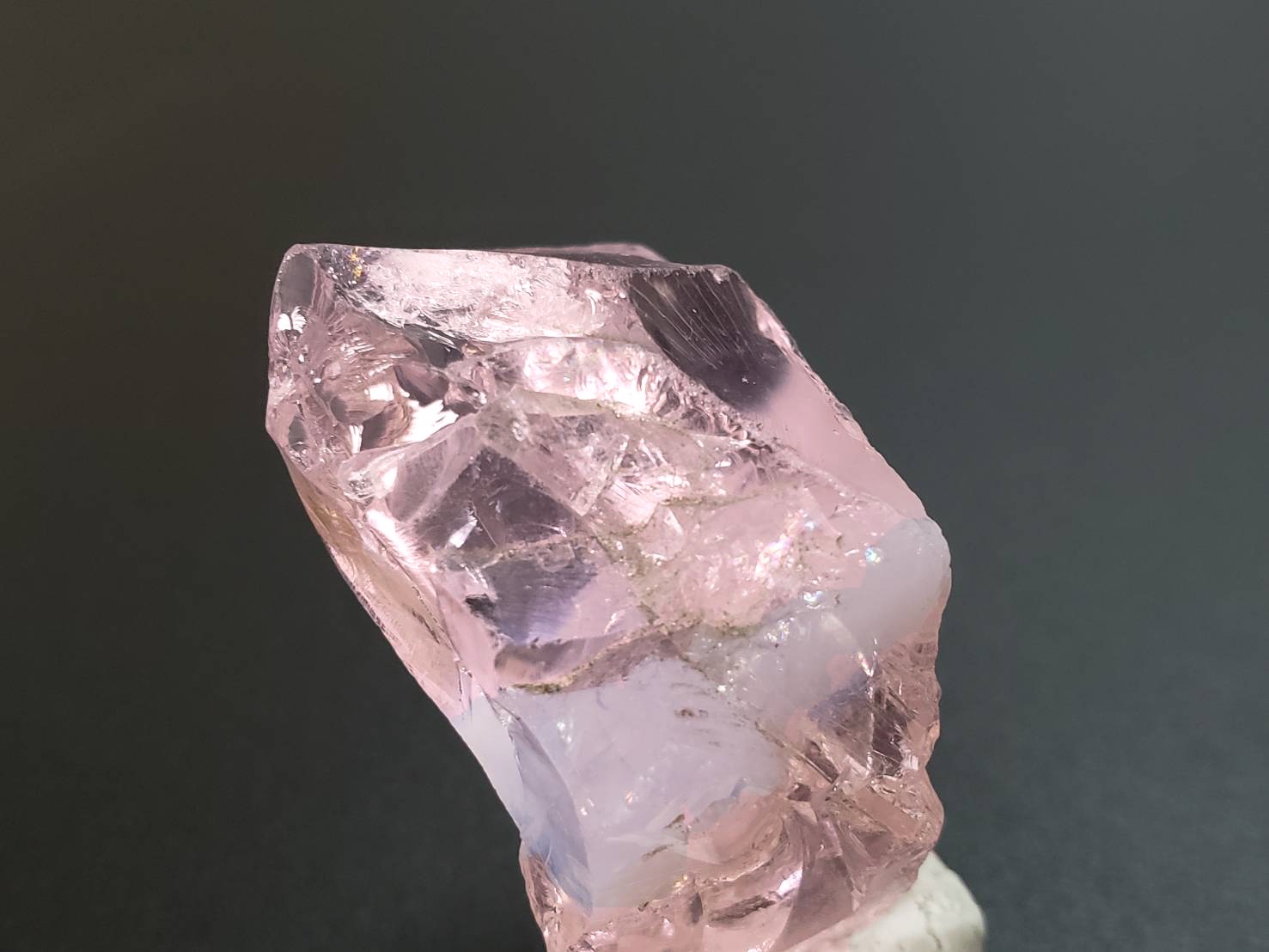 エンジェルオーラ/ハートオブゴッドウィズインピンク | 3/14（金