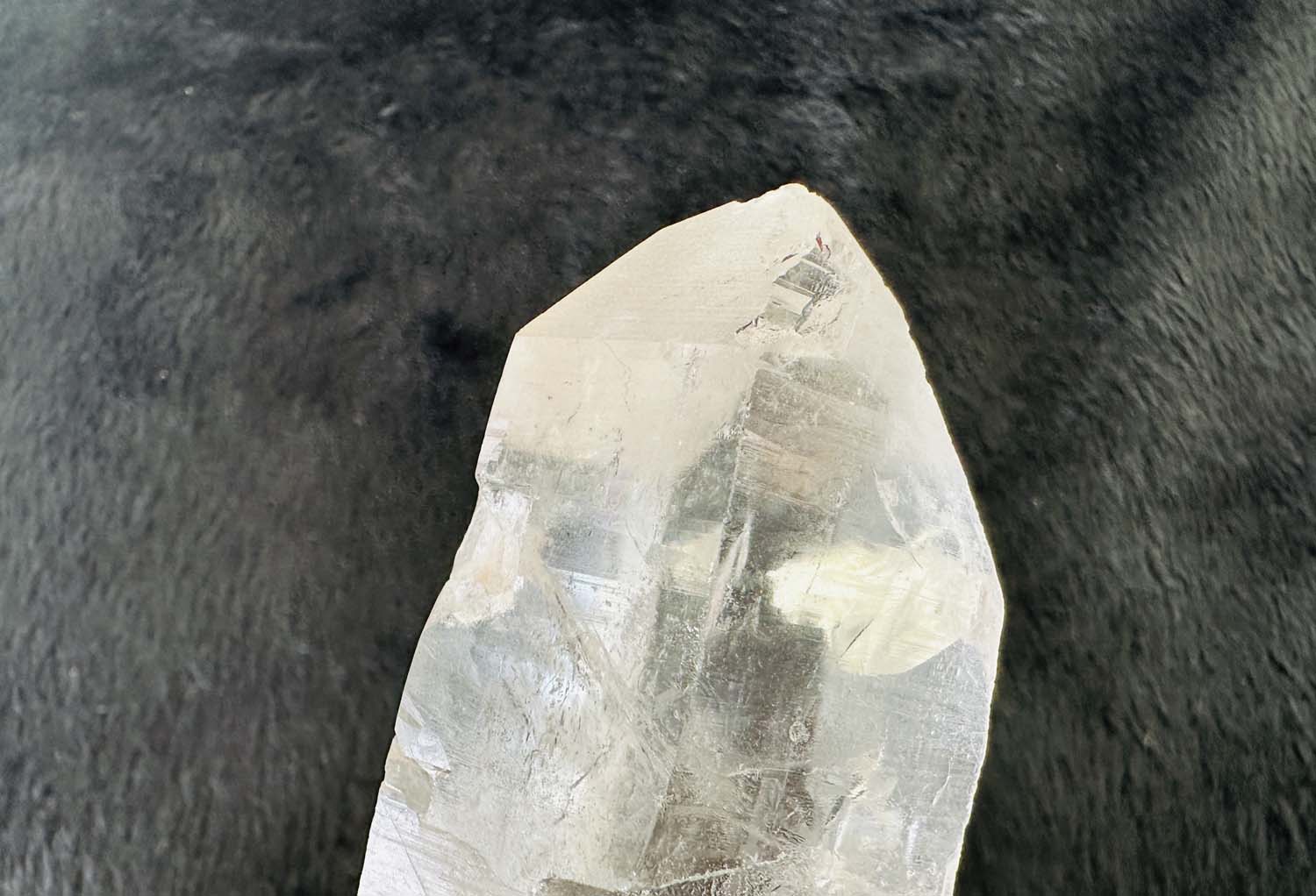 【原初の愛】オールド・レムリアンシード