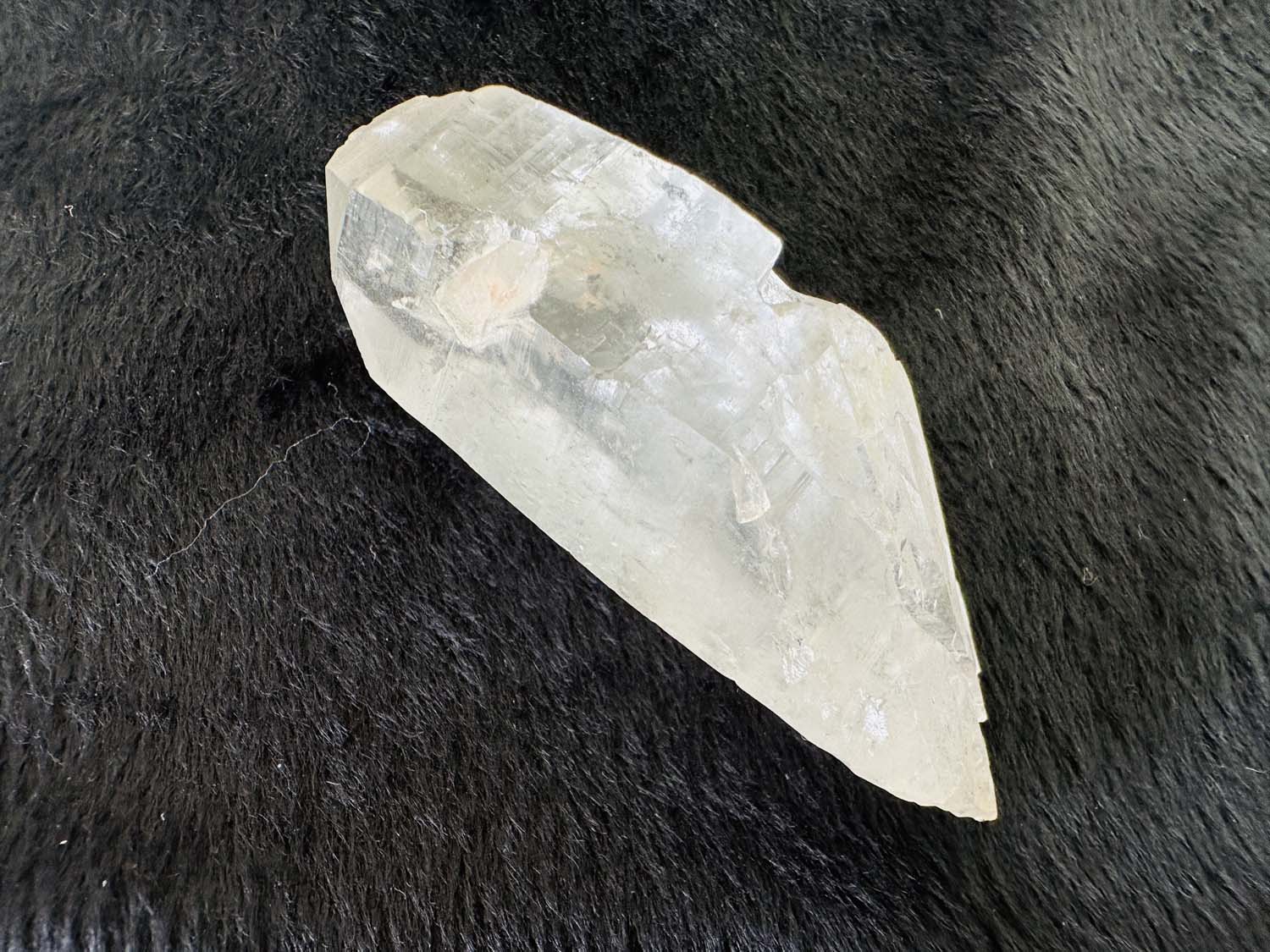 【原初の愛】オールド・レムリアンシード