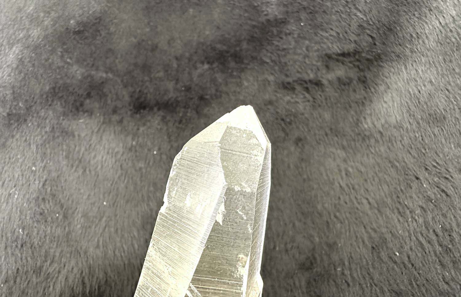 【原初の愛】オールド・レムリアンシード