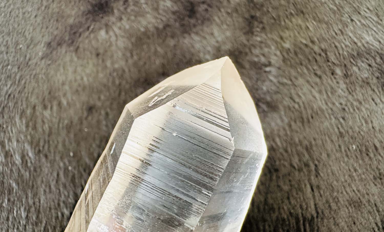 【原初の愛】オールド・レムリアンシード