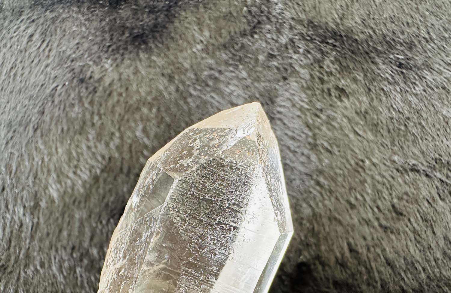 【原初の愛】オールド・レムリアンシード