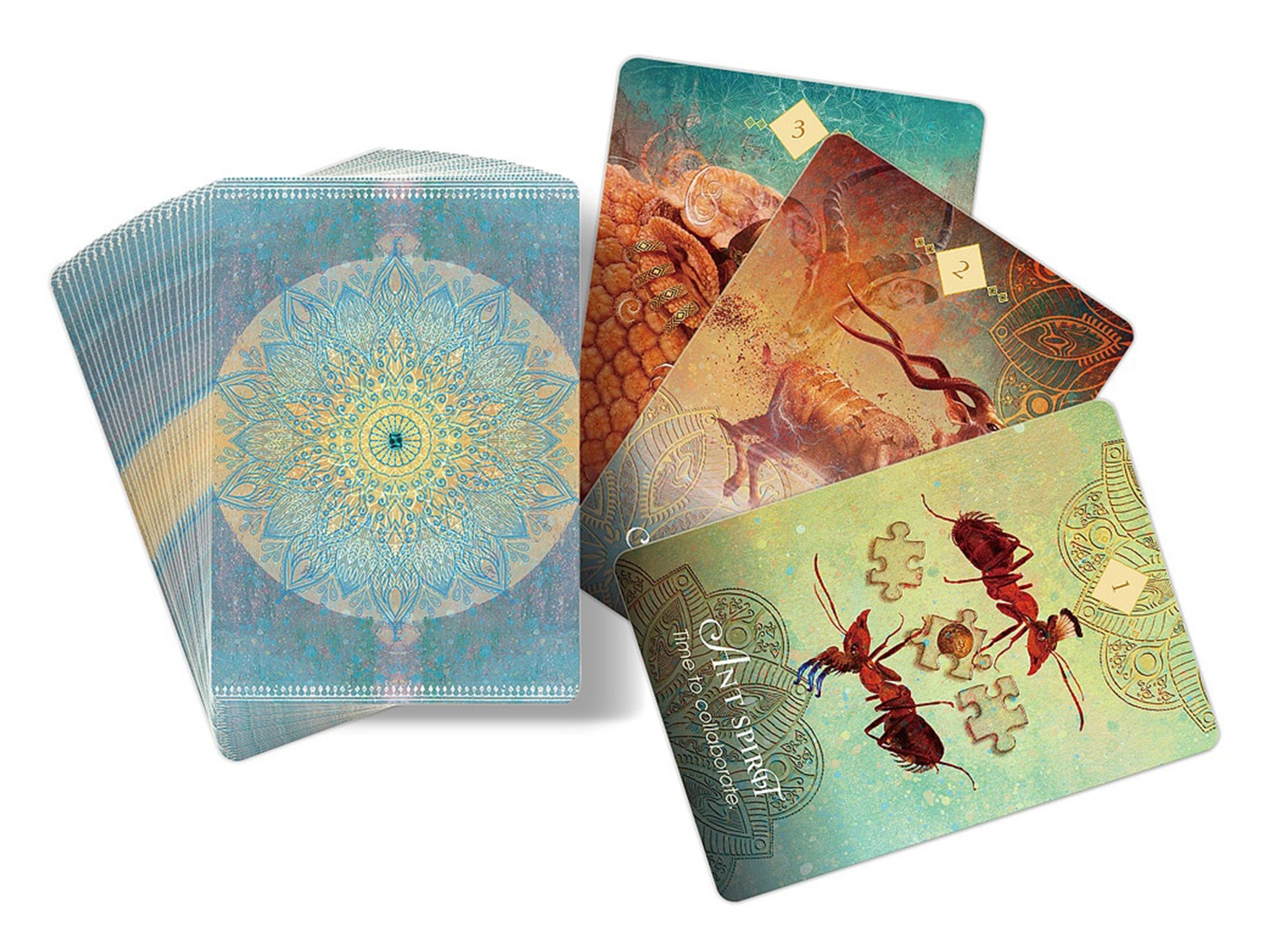 【自然界に住まう生きものたちからのメッセージ】スピリットアニマルオラクル　コレット・バロン＝リード