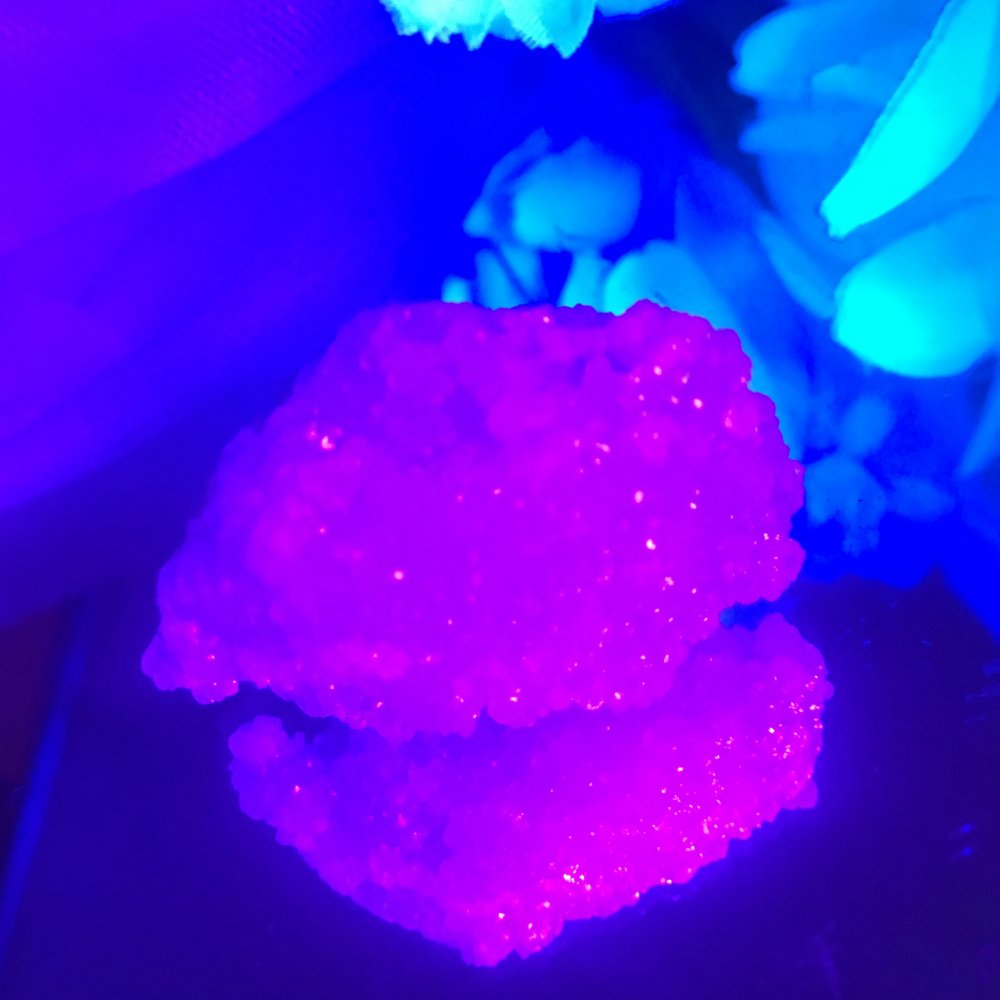 【制限を無くしチャンスが開く】ギャラクシーガーネット ※ブラックライト付き！