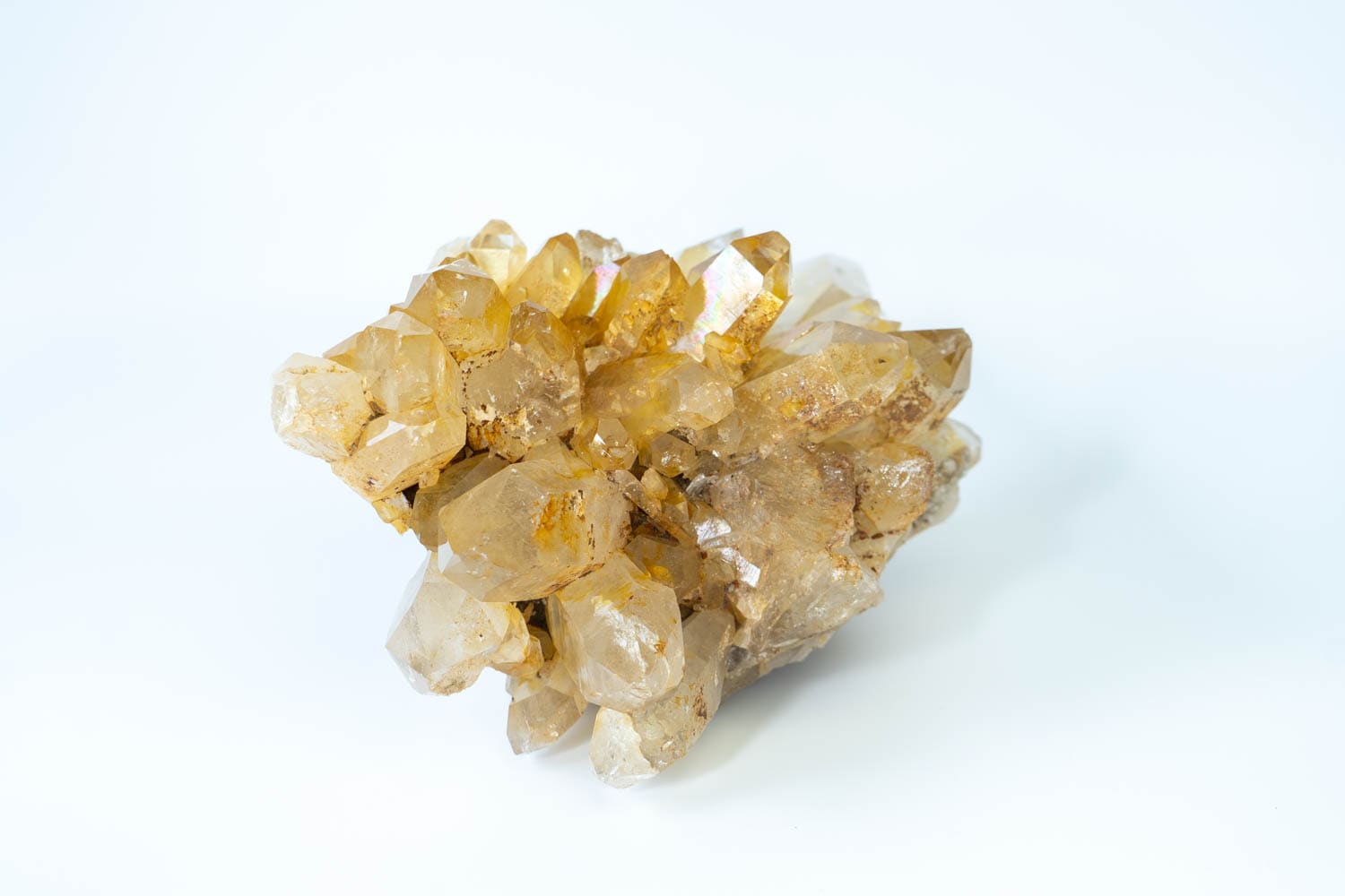 Infinity　究極品質　虹のマスターウラルゴールデンレムリアン Infinity様専用 究極品質 虹のマスターウラルゴールデン