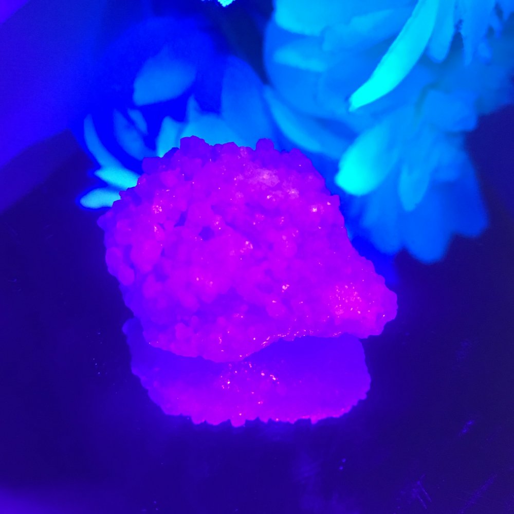 【制限を無くしチャンスが開く】ギャラクシーガーネット ※ブラックライト付き！