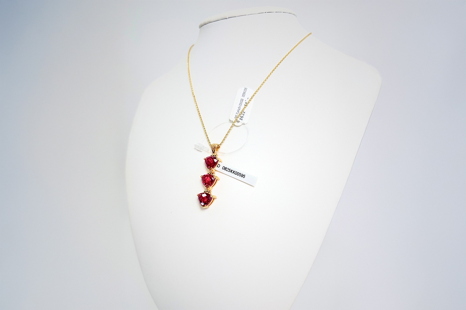 【魂を鼓舞する情熱の指導者】ルビー サファイア|ケイトキング 5966