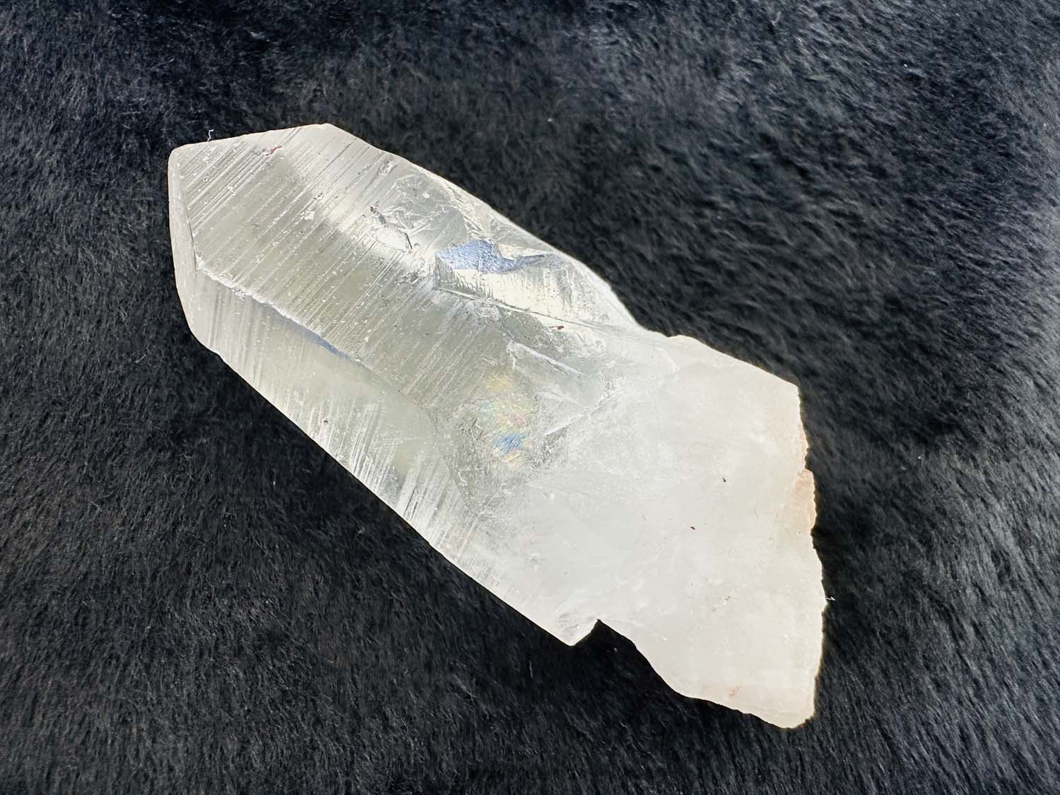 【原初の愛】オールド・レムリアンシード