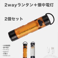 2�ĥ��å� LED�ޥ������饤�� ���ż� 2WAY �ڥ����ȥɥ�!!�� RAiDooor #OD133s