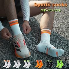 ���� ���ݡ��� ���롼���å��� �ڥ����ȥɥ�!!�� RaiDooor ��A545