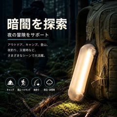 LED��󥿥� ���ż� ������󥿥�ڥ����ȥɥ�!!�� RAiDooor #OD135