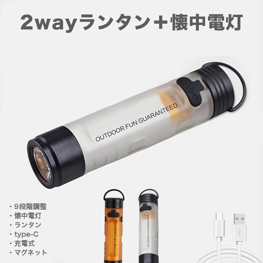 2�ĥ��å� LED�ޥ������饤�� ���ż� 2WAY �ڥ����ȥɥ�!!�� RAiDooor #OD133s