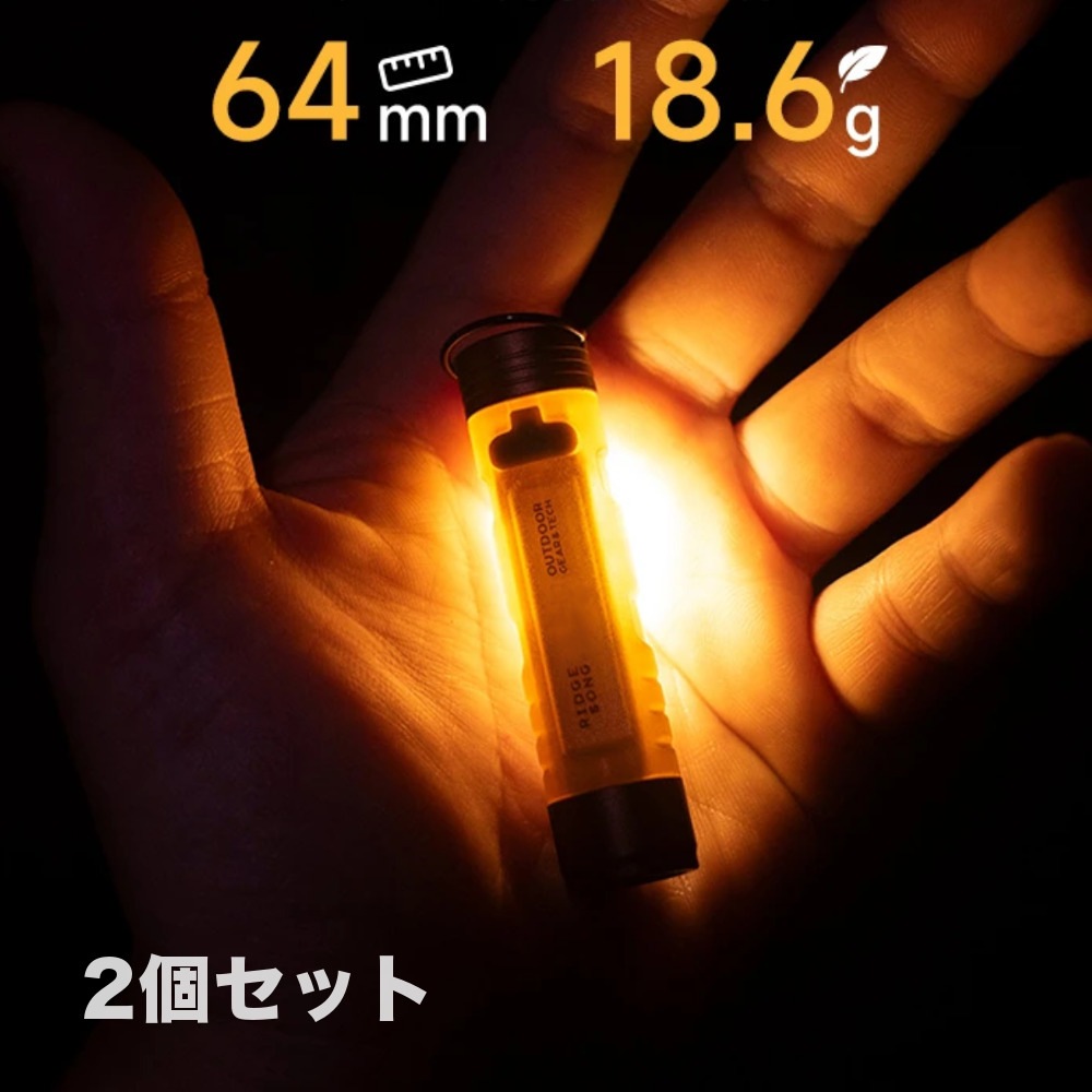 2�ĥ��å� LED�ޥ������饤�� ���ż� 2WAY �ڥ����ȥɥ�!!�� RAiDooor #OD133s