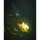 2�ĥ��å� LED�ޥ������饤�� ���ż� 2WAY �ڥ����ȥɥ�!!�� RAiDooor #OD133s