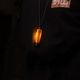 2�ĥ��å� LED�ޥ������饤�� ���ż� 2WAY �ڥ����ȥɥ�!!�� RAiDooor #OD133s