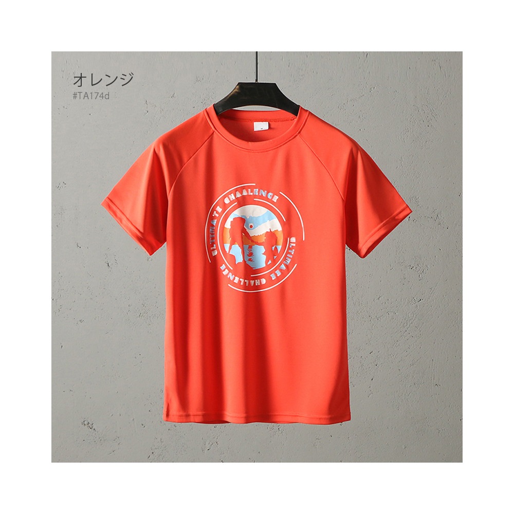 Ⱦµ���� �л�T����� �ڥ����ȥɥ��� RAiDooor #TA174