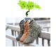 �ߥ꥿�꡼ �졼�����åץ֡��� �ڥ�󥺥ߥꥫ�������ƥ�!!��#Shoes414