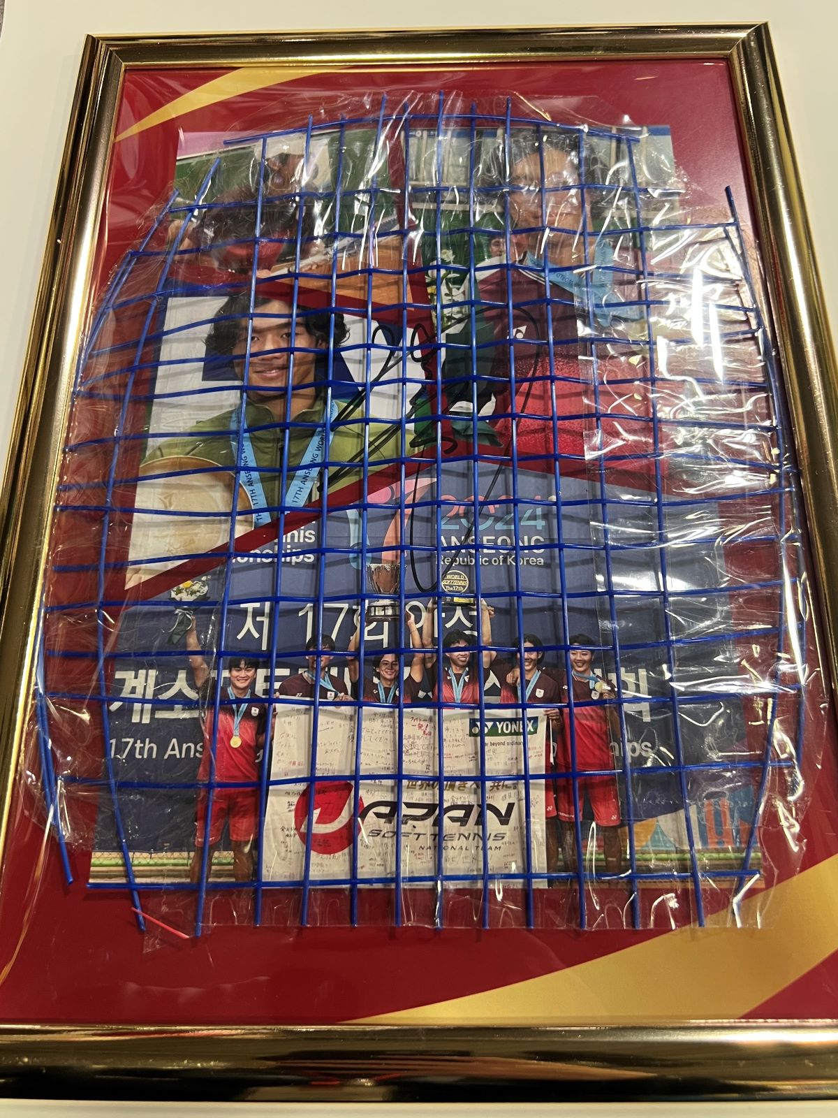 限定商品】MIZUNO ミズノ D-FORCE VS-50 上岡俊介コンペティション