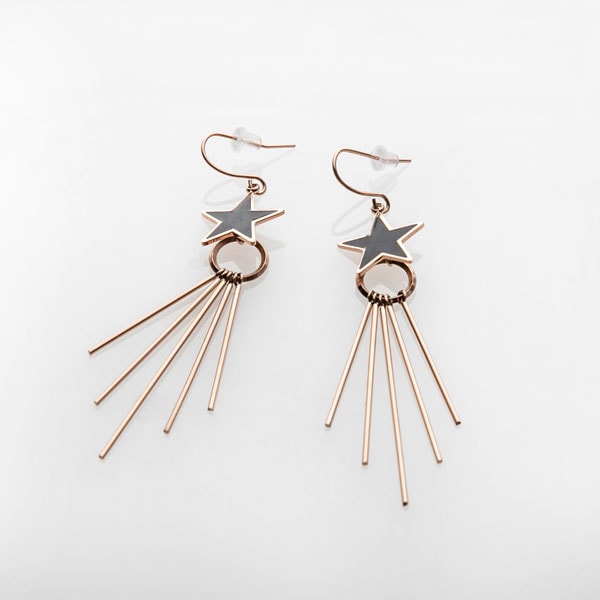 Tassel star pierce / earring