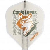 TARGET(�������å�) [�ե饤��] 8 FLIGHT(�����ȥե饤��) GYUNG TAE CHOI(���祤��������)�����ǥ� - �������� ���ꥢ