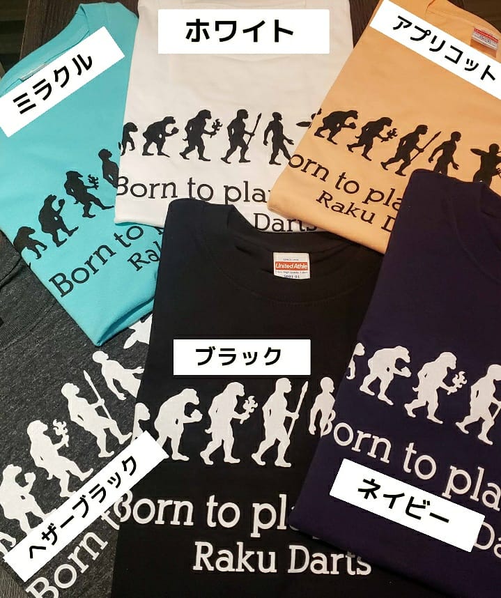 Raku Darts(�饯������) [���ѥ��] �ʲ�T�����