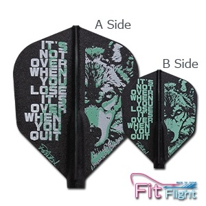 COSMO DARTS(�����������) [�ե饤��] Fit Flight(�ե��åȥե饤��) Royden Lam(�����ǥ� ���) 5