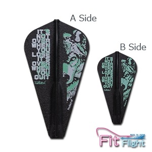 COSMO DARTS(�����������) [�ե饤��] Fit Flight(�ե��åȥե饤��) Royden Lam(�����ǥ� ���) 5