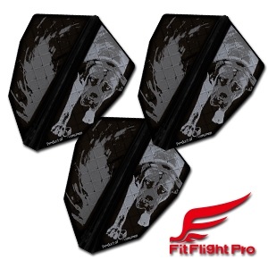 COSMO DARTS(�����������) [�ե饤��] Fit Flight Pro(�ե��åȥե饤�ȥץ�) Lukasz Waclawski(�륫�����說�饹��)�����ǥ� - D�֥�å�