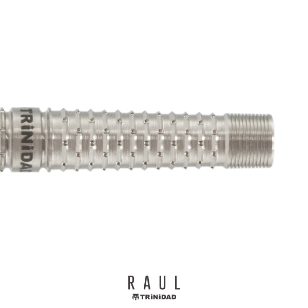 TRiNiDAD(�ȥ�˥�����) [�Х��] PRO - RAUL(�饦��) ���ܹ��������ǥ�