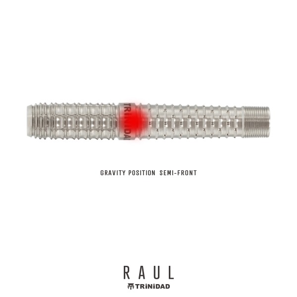 TRiNiDAD(�ȥ�˥�����) [�Х��] PRO - RAUL(�饦��) ���ܹ��������ǥ�