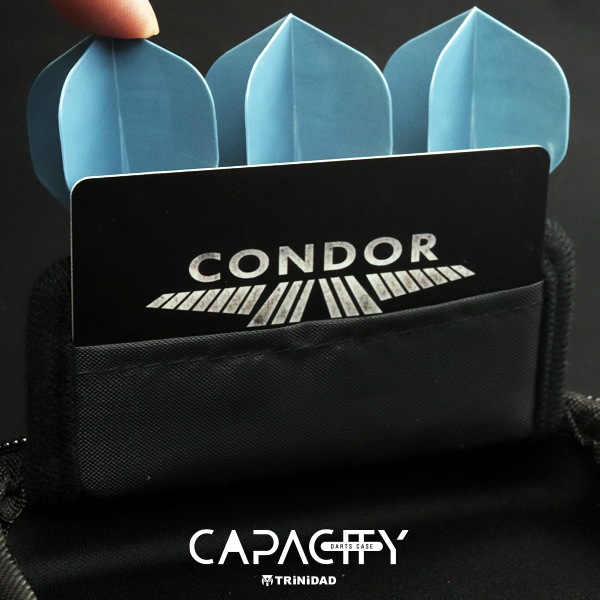 TRiNiDAD(ȥ˥) [ĥ] CAPACITY(ѥƥ) PLAYER Model3