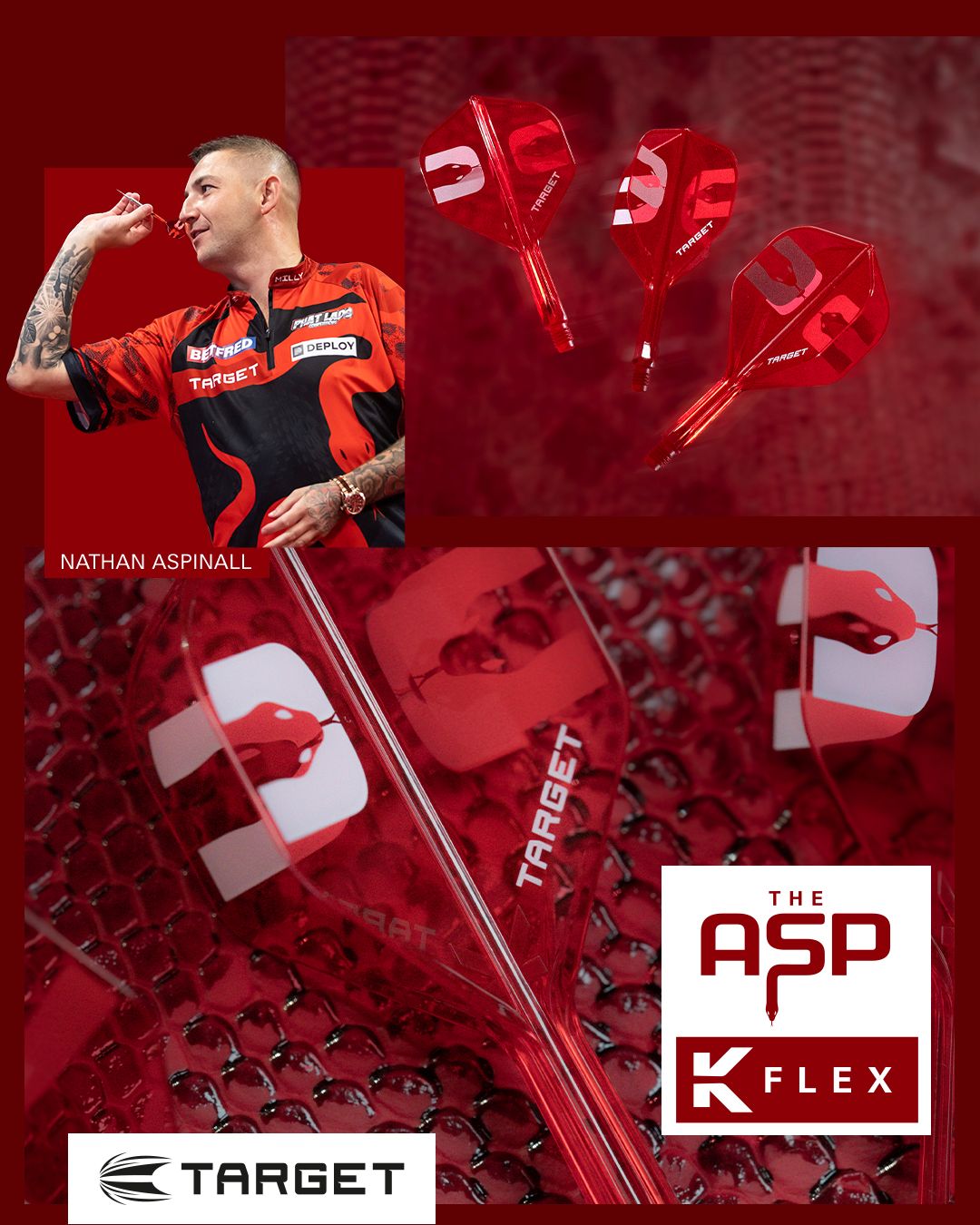 TARGET(����������) [�ե饤��] K-FLEX(�����ե�å���) THE ASP(�� ���������ԡ�) Nathan Aspinall�����ǥ�